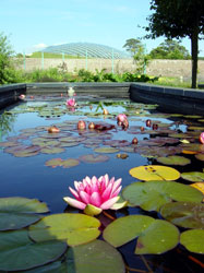 Nationalbotanicgardenwales