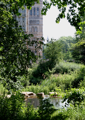 Natural History Museum Wildlife Garden