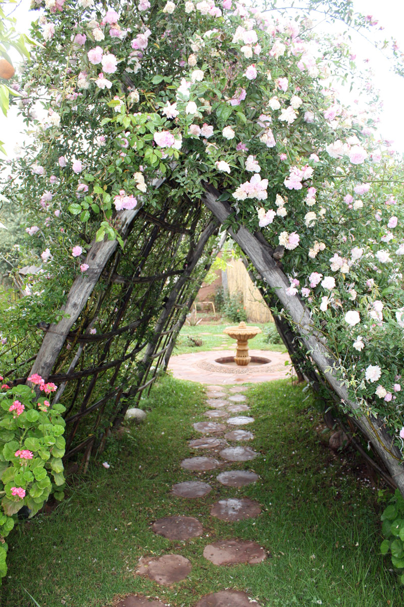 Roses, Nectarome Aromatic Garden