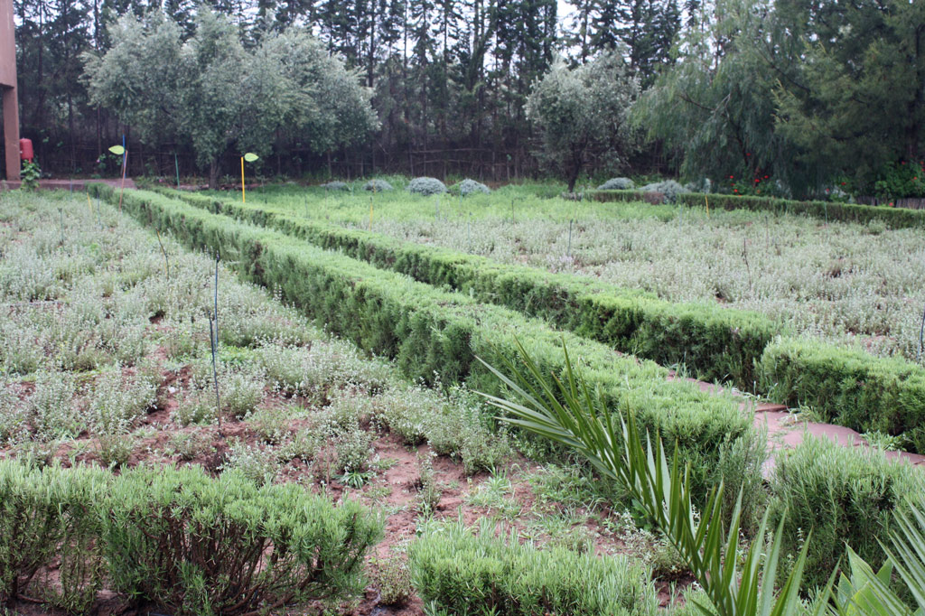 Jardin Bio-Aromatique D’Ourika, Morocco