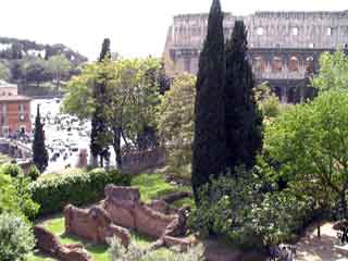 Nero golden house