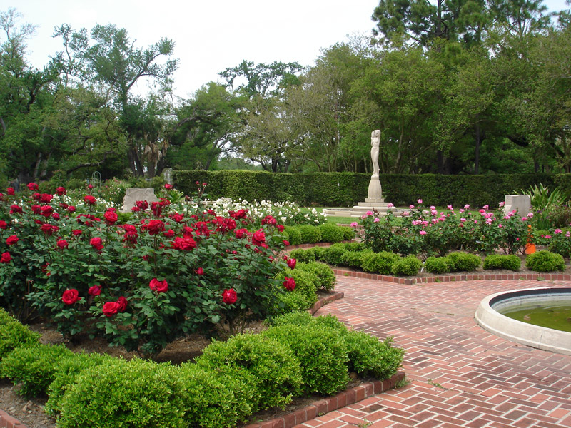 wallpaper rose garden. A good Southern garden has