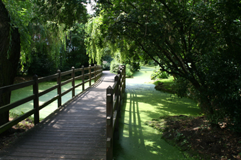 New River Walk