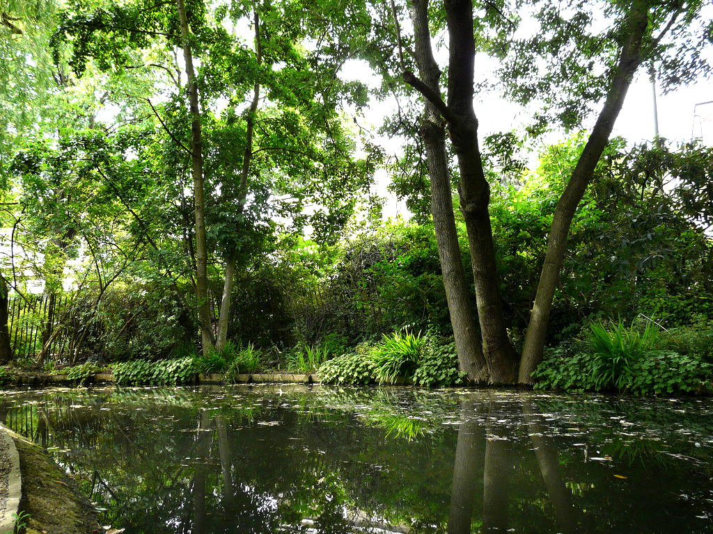 New River Walk Garden Loz Pycock