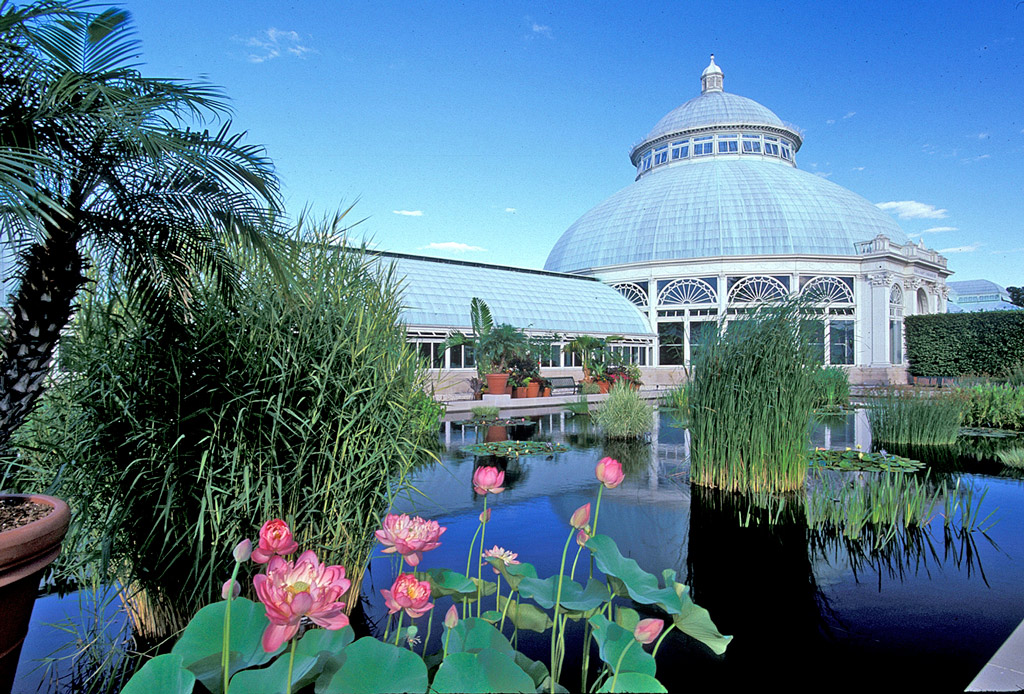 New York Botanical Gardens – A Picturesque Getaway