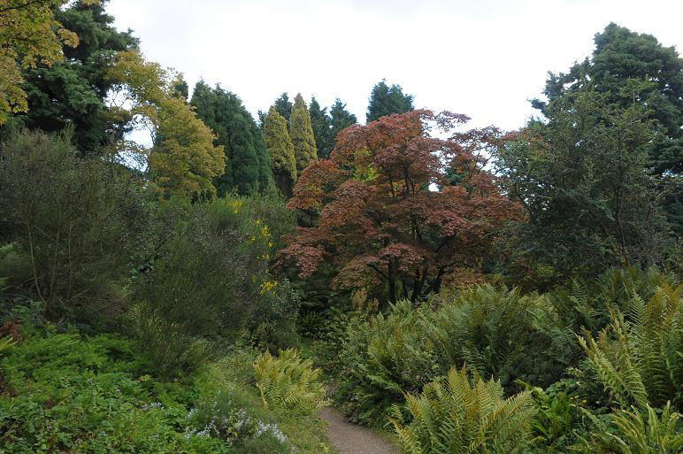 Newstead Abbey, September