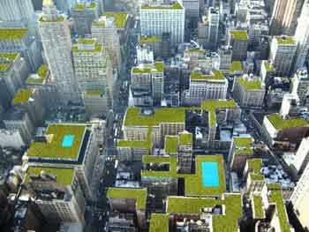 New York topped with green roofs