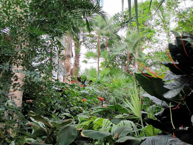 Niagara Botanical Garden, Ontario