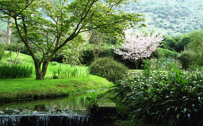 Giardino e Rovine de Ninfa