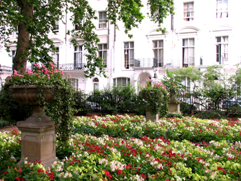 Norfolk Square Gardens