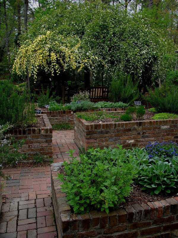 North Carolina Botanical Garden