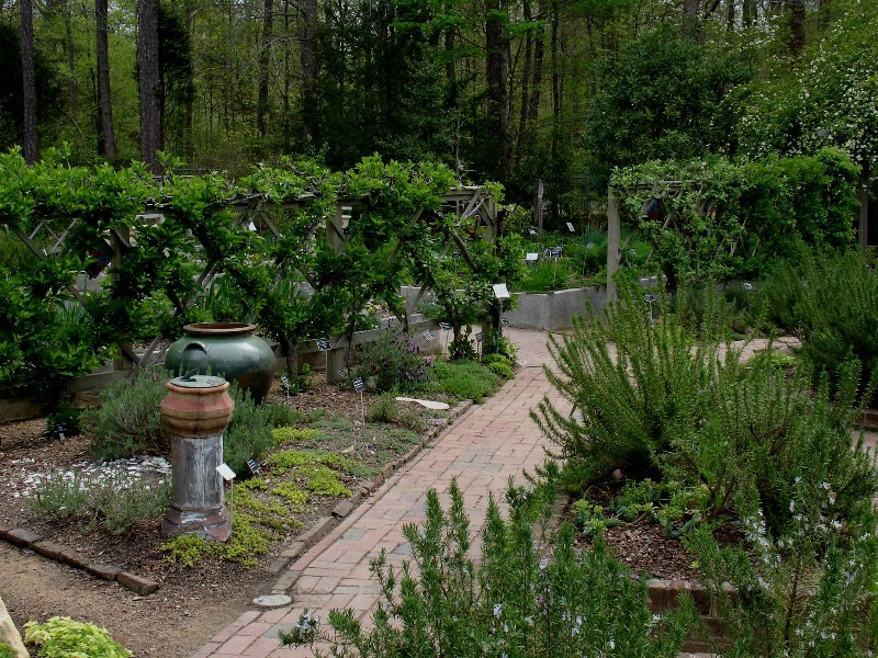 North Carolina Botanical Garden