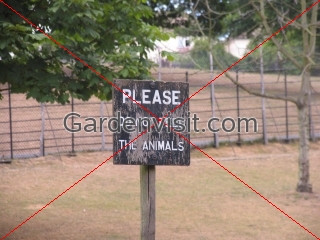 Not Feed Animals