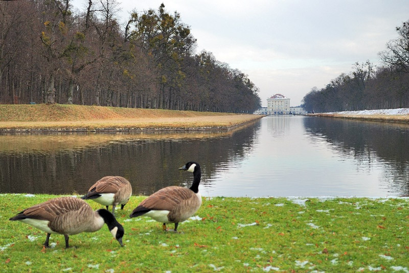 Canal, Nymphenburg Schlosspark