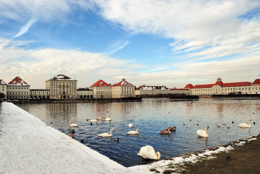 Swans, Nymphenburg Schlosspark
