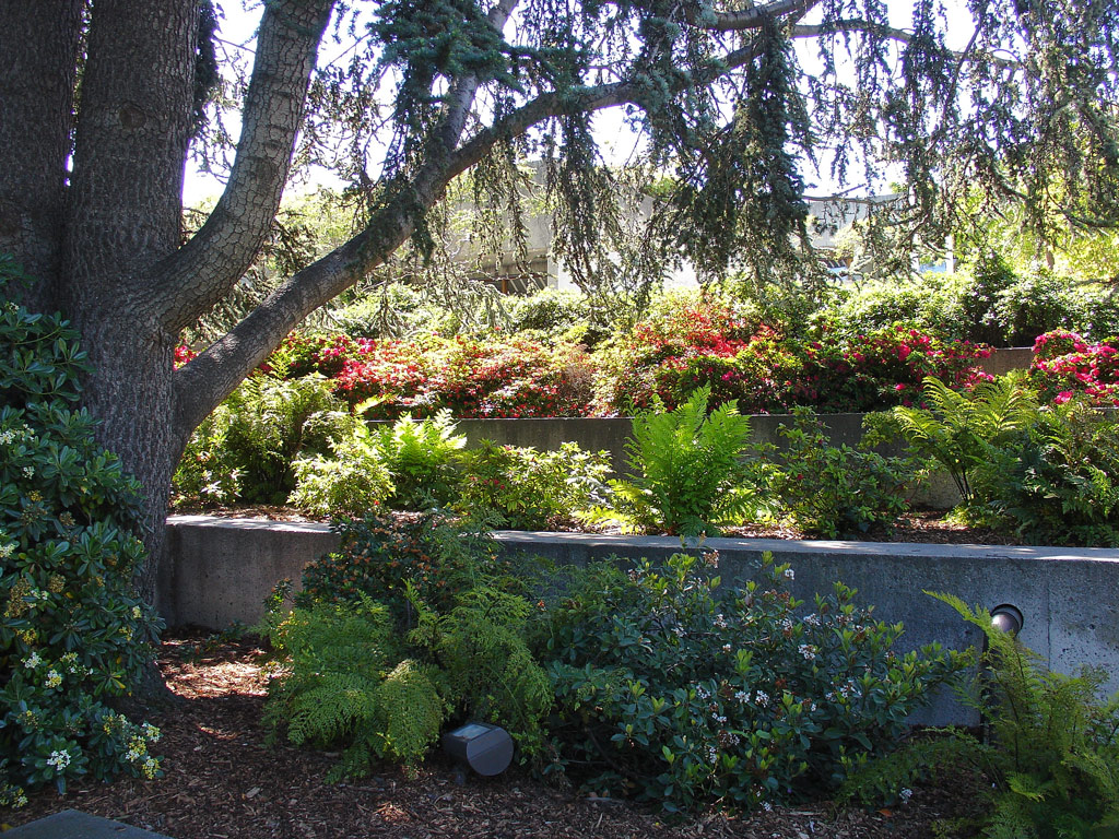 Oakland Museum of California and Gardens, CA