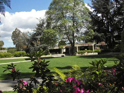 Oakland Museum of California and Gardens, California
