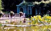 Gardens in America