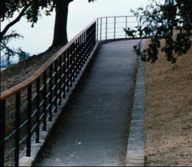 One Tree Hill