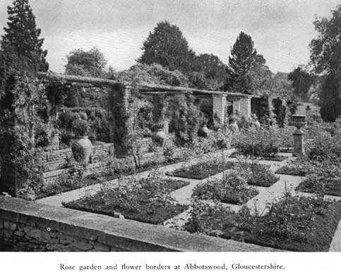 Ornament abbotswood rose garden p