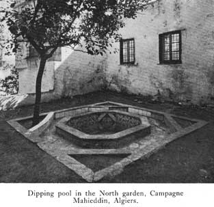 Ornament algerian dipping pool p