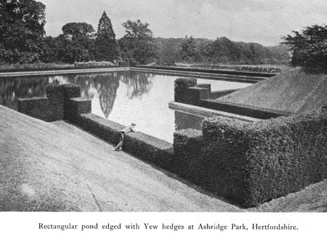 Ornament ashridge rectangular pond p