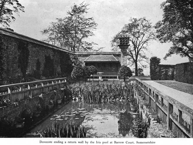 Ornament barrow court iris pool l