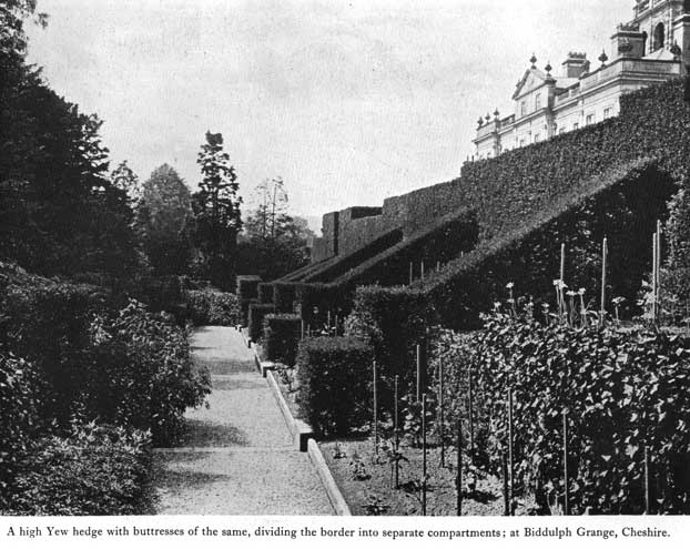 Ornament biddulph grange hedging l