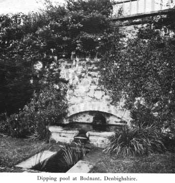 Ornament bodnant dipping pool p