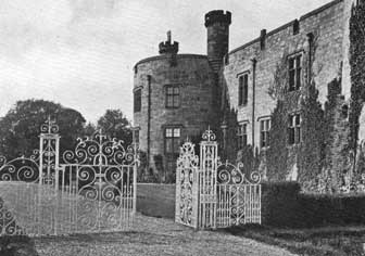 Ornament chirk castle gates p
