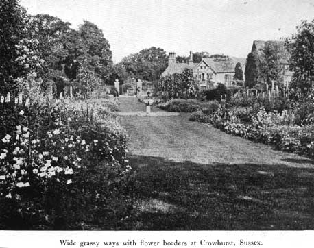 Ornament crowhurst flower borders p