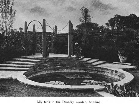 Ornament deanery lily tank p