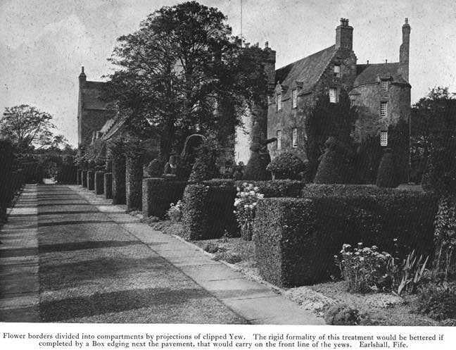 Ornament earlshall hedge and flowers l