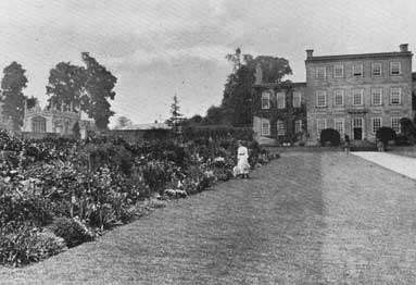 Ornament harrowden flower border p