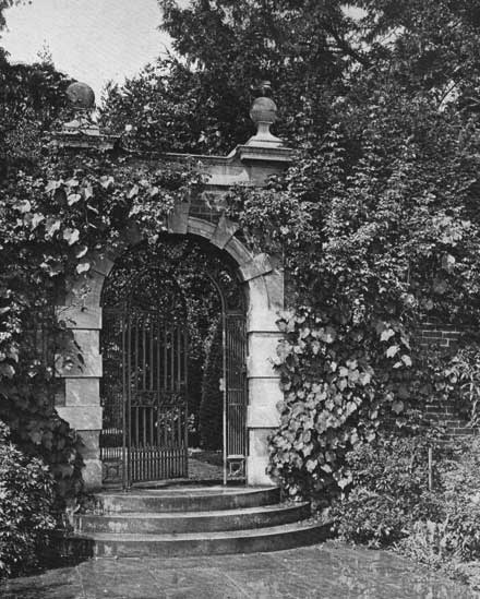 Ornament iron gates with creepers p