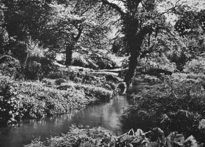 Ornament mounton wooden bridge p