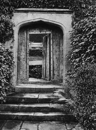 Ornament oak wood doorway p