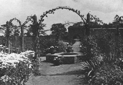 Ornament orchards dipping well p