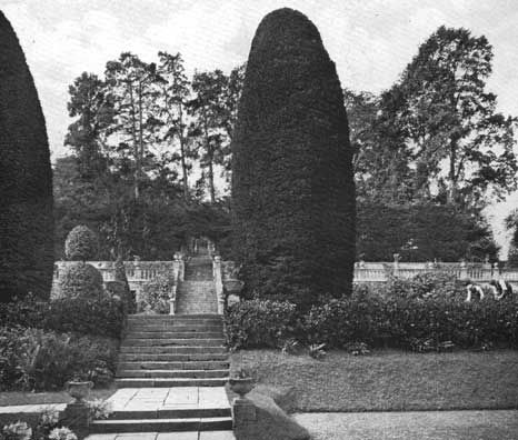 Ornament st catherines court garden steps p