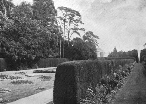 Ornament yew hedged border p