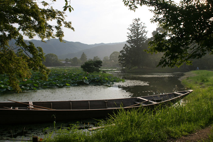 Osawa Pond, Japan