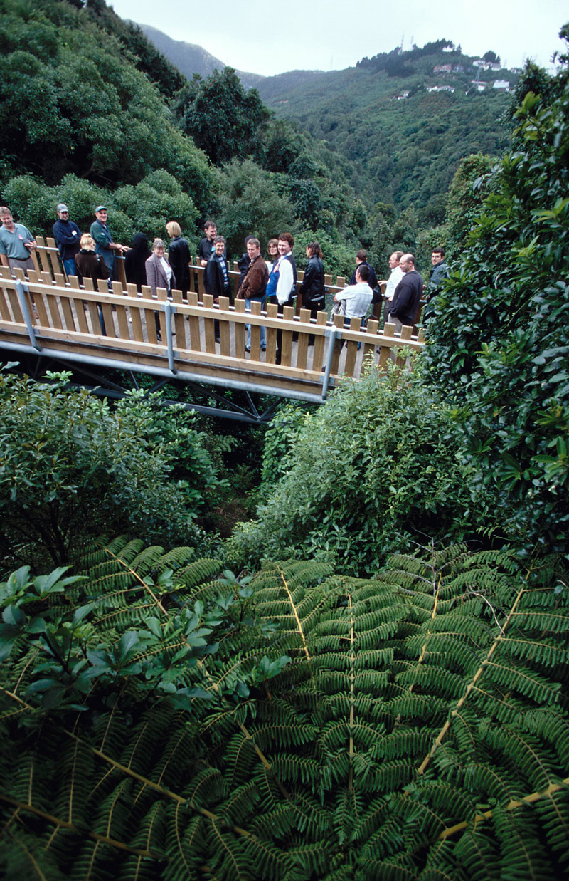 Otari-Wilton's Bush Native Botanic Garden, New Zealand