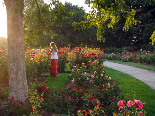 Owen Rose Garden, Oregon