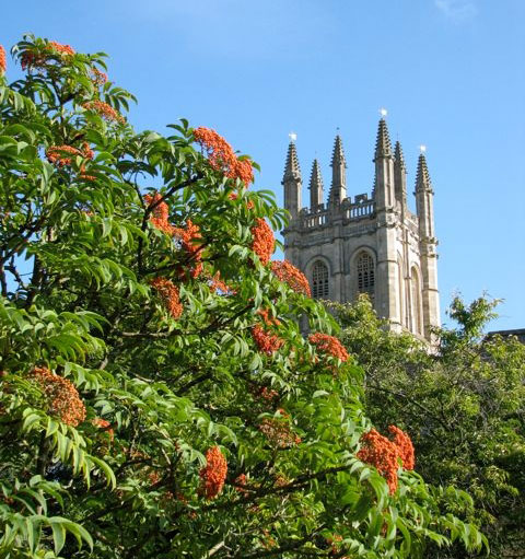 Oxford Botanic Garden