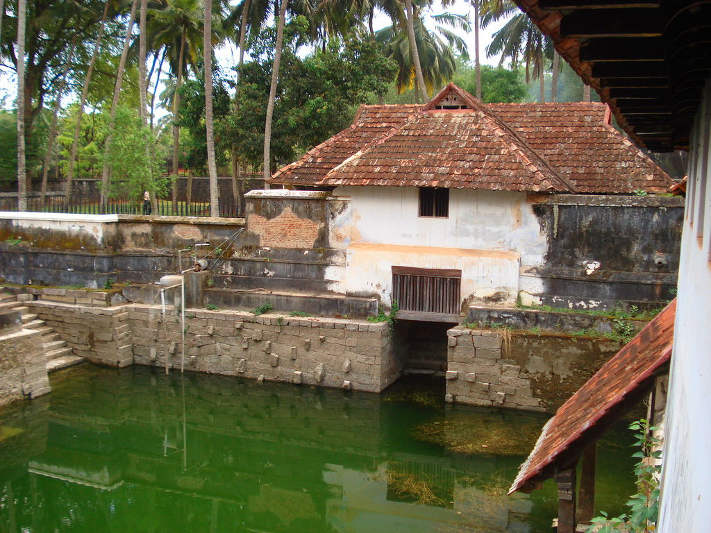 Padmanabhapuram Palace Garden Arthur Dave
