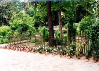 Padua botanical garden