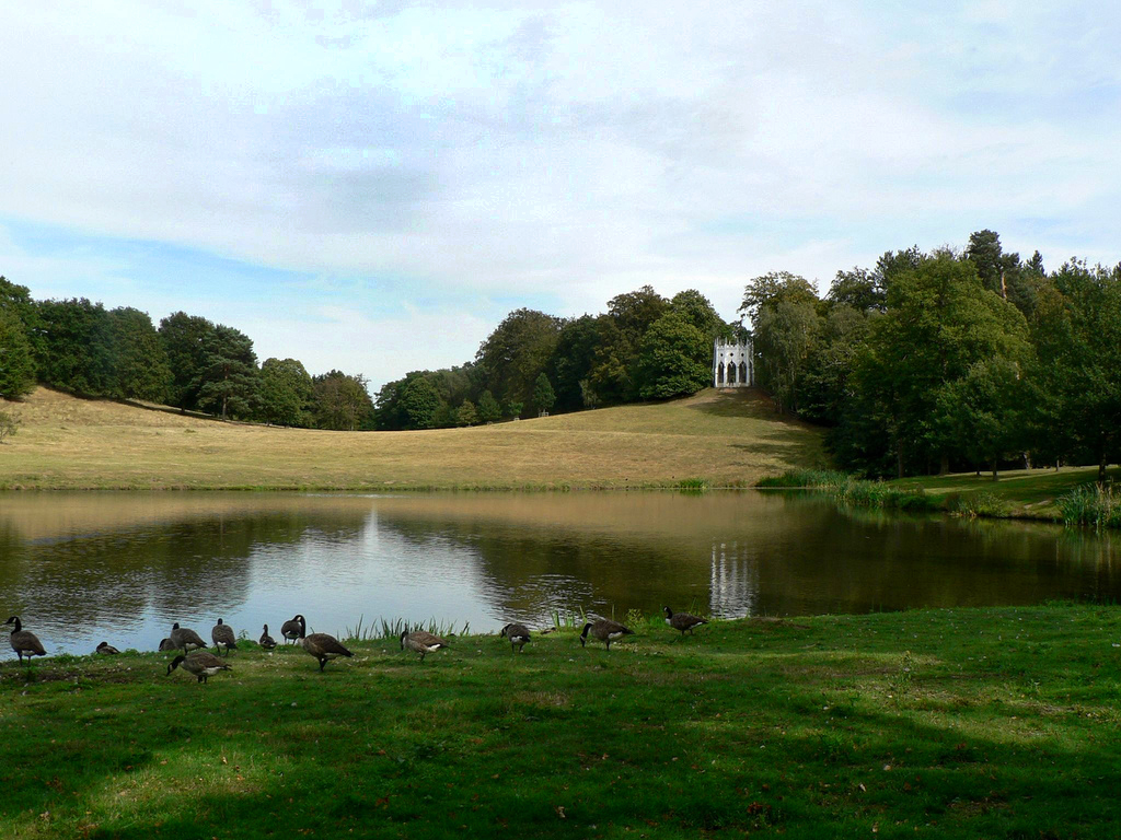 Painshill Park wimbledonian