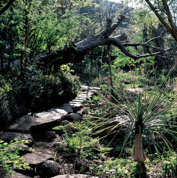 Gardens of the Lost City, Sun City