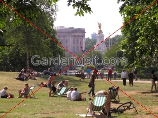 Buckingham Palace People