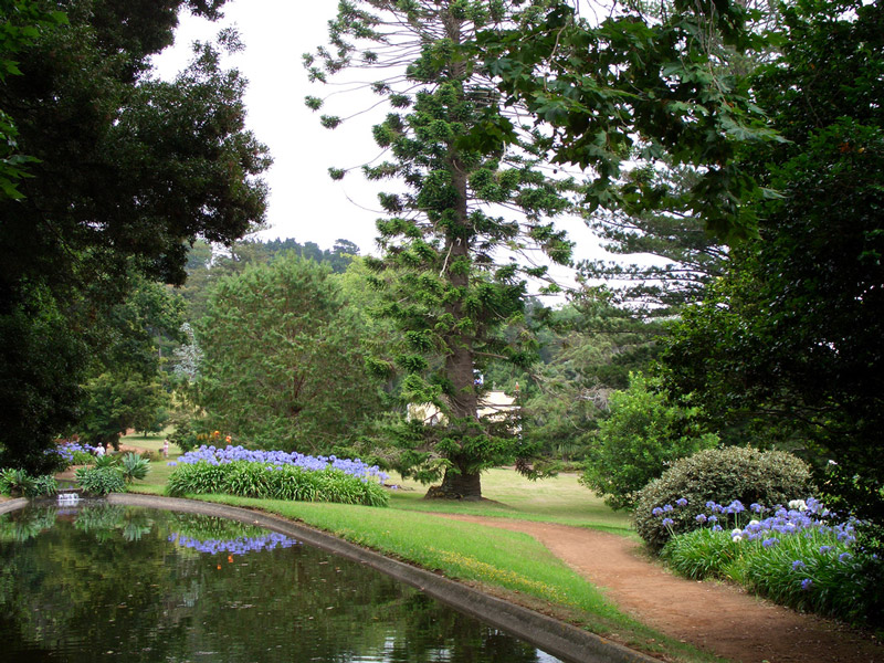 Quinta do Palheiro Ferreiro Garden